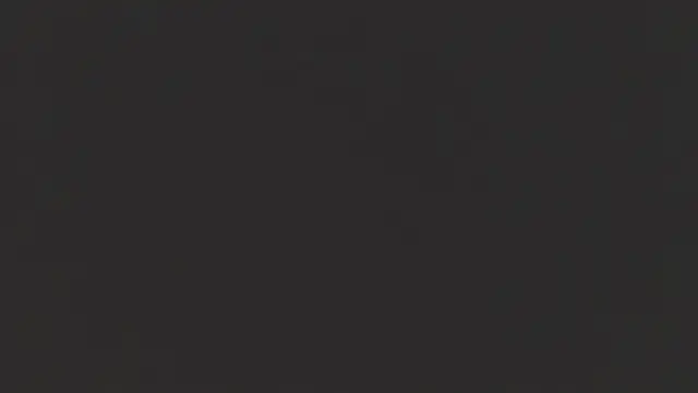 Benny_and_Mark webcam