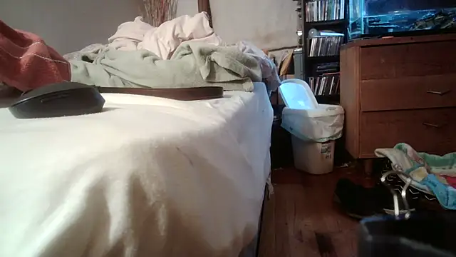 jumpingtomflash webcam