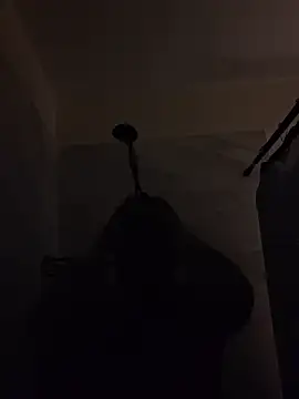 OverfullDamask webcam