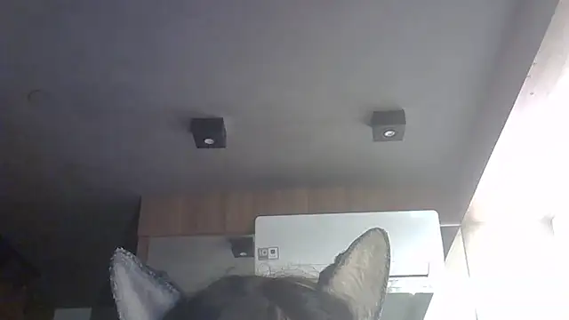 skinnykitten - SkinnyKitten's free webcam - UK Sex Cams