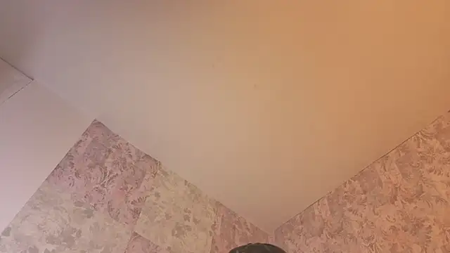 Benny_and_Mark webcam