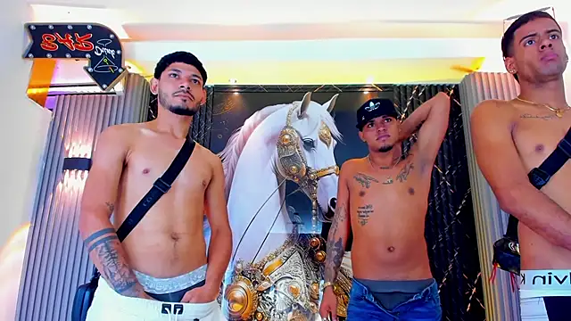 the_knights_of_the_night_ webcam