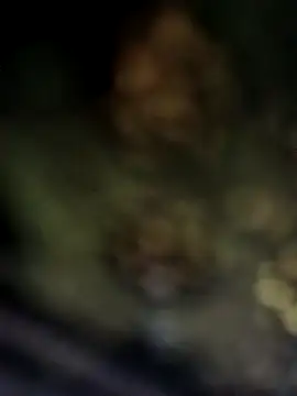 riyakumari_hot66 - Riyakumari_hot66's free webcam - UK Sex Cams