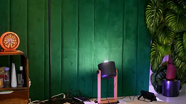 IrisNightshade webcam