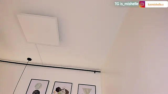 _mishelle webcam