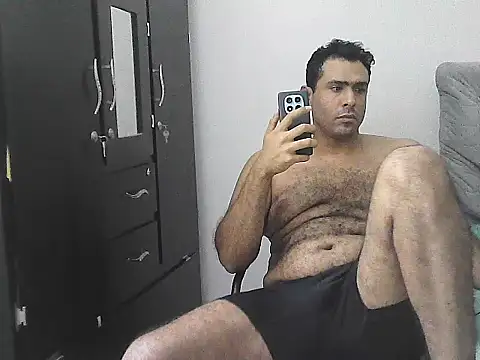 IronSideBear webcam