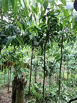 ruby_lucy - Ruby_Lucy's free webcam - UK Sex Cams