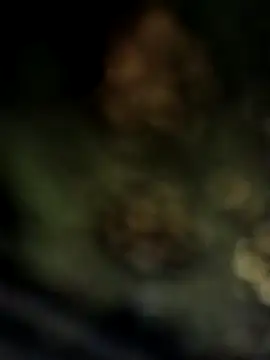 Riyakumari_hot66 webcam