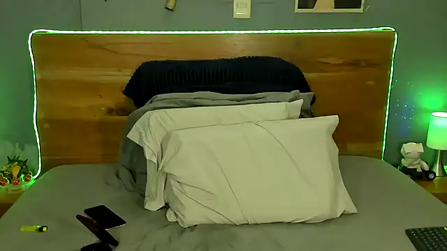 Prometeo-grizzly webcam