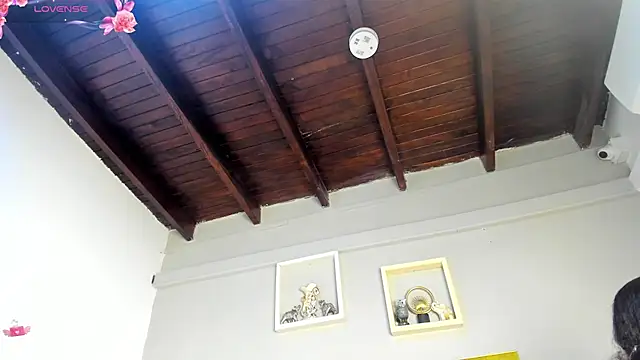 vahiolet_fuentes webcam