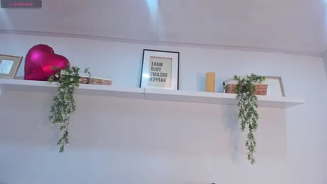 Nicolle_Evanss_ webcam