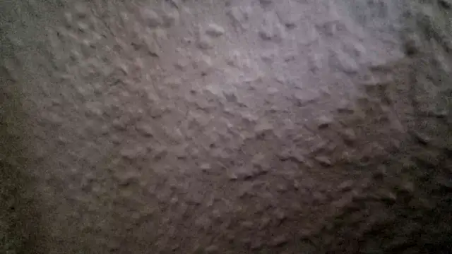 Foxtrott_242 live sex cam