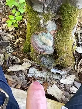 andymatthisbwc webcam