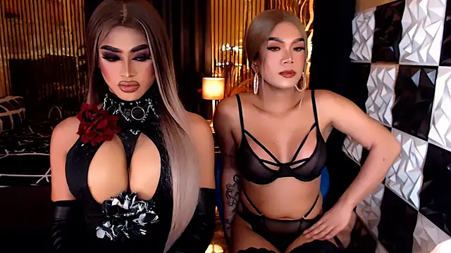 StellaPerkins webcam