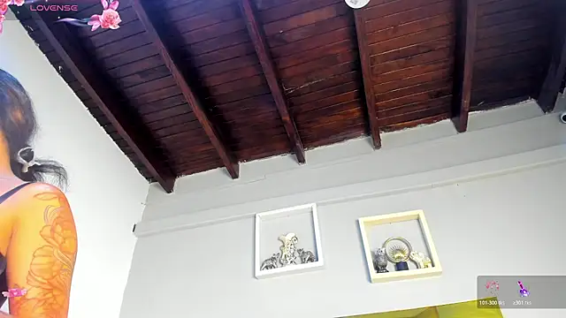 vahiolet_fuentes webcam