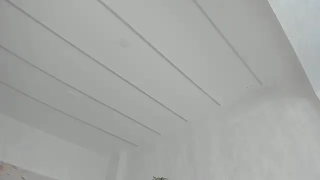 TiffanyHouston_ webcam