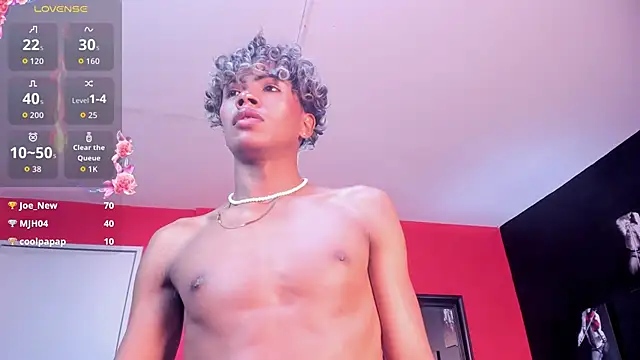 Henrikvermillion webcam