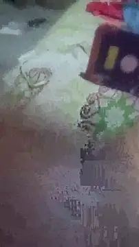 negrocomomisuerte webcam