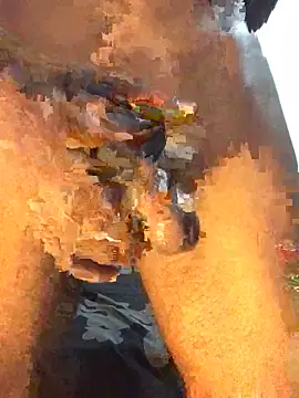 little-monter webcam