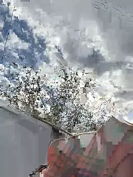 SweetCuteGirls1023 webcam