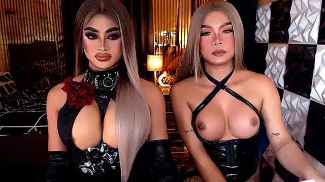 stellaperkins - StellaPerkins's free webcam - UK Sex Cams