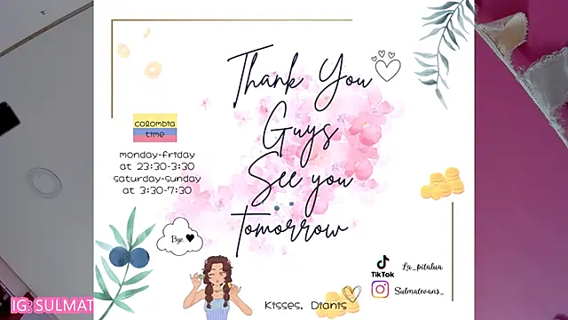 _sulmatevans_ webcam