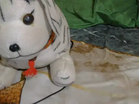 Stubborndesiboy webcam