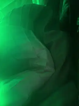 ChicagoMadeThirdLeg webcam