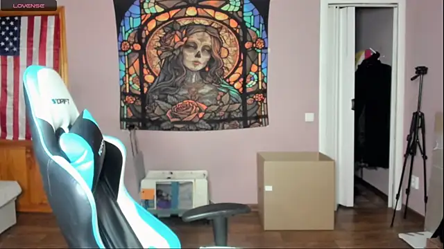 Project_hisoka webcam