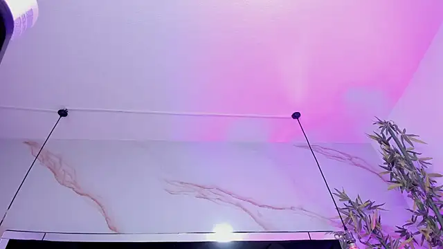 Ibbie_drastic webcam