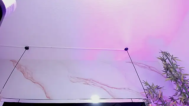 Ibbie_drastic webcam