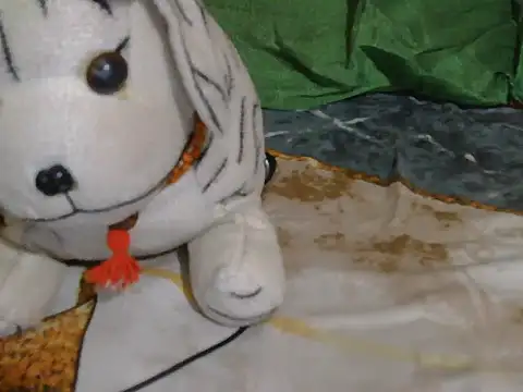 Stubborndesiboy webcam