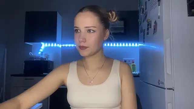 LevelledPilot webcam