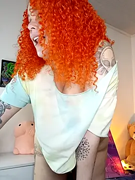 Alaska_colors7 webcam