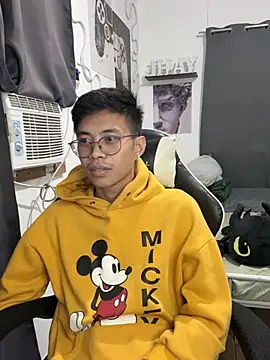 Prince-Harrison webcam