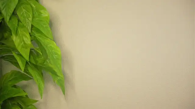 ShelbaCarrahan webcam