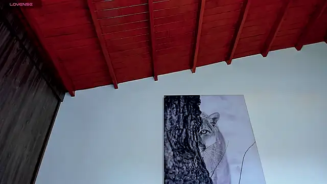 Santos_ramirez1 webcam