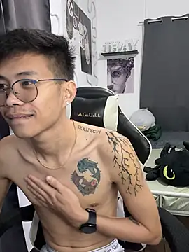 Prince-Harrison webcam