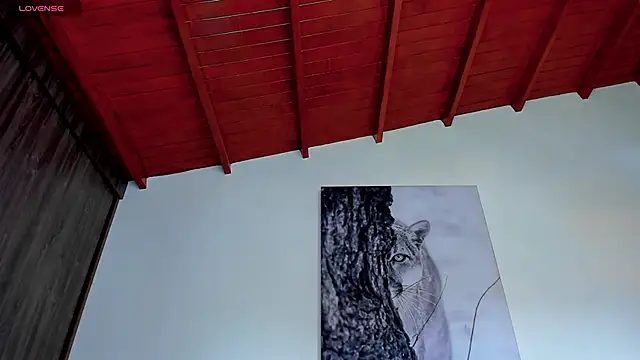 Santos_ramirez1 webcam