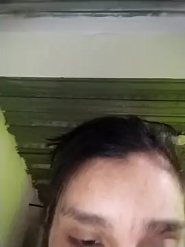 vegonicarouge webcam