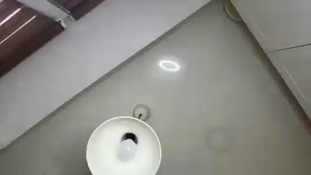 ElsieKuhlmann webcam