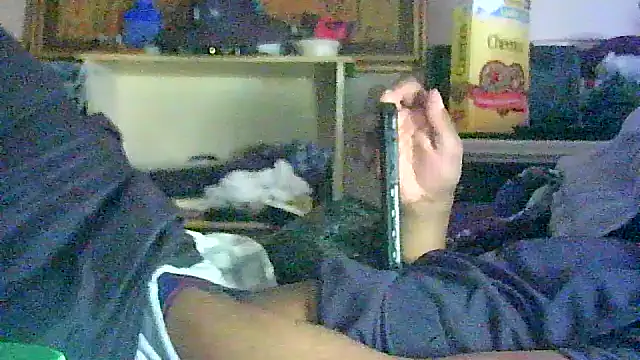 GUAPAN3S3_FIR3 webcam