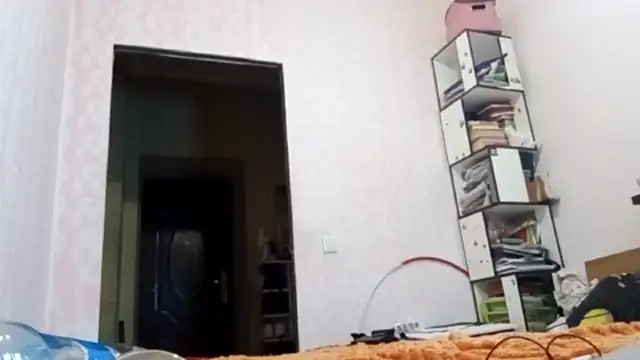 JanineThielman webcam