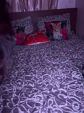 PRINSECA-AMBER webcam