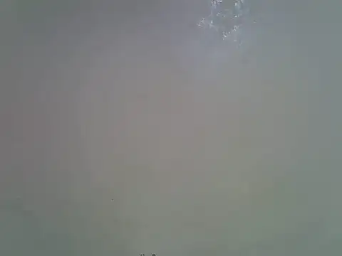 Rasta_tattooed webcam