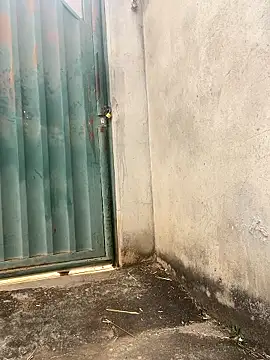 Showwspordezreais webcam