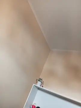 Byalexander2020 webcam