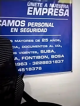 Cristal_Security-1 webcam