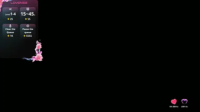 ValeriaGallardo_Pv webcam