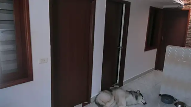 Abby_Saenz01 live sex cam